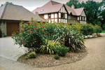 Garden design and landscaping
