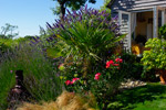 Philip Edwards Design and Landscaping gardening services